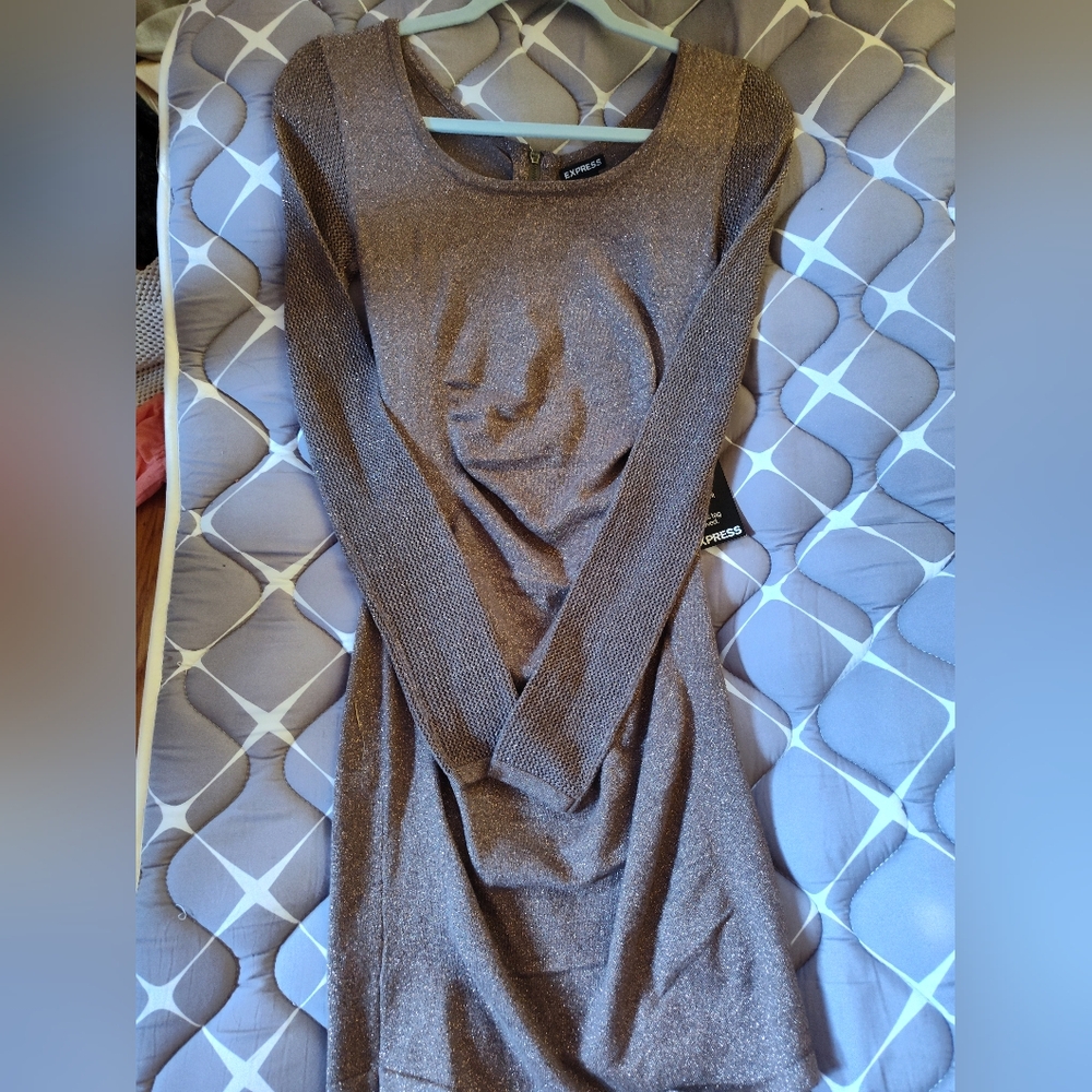 Nwt. Express Ladies Ruched Dress size XS, copper color